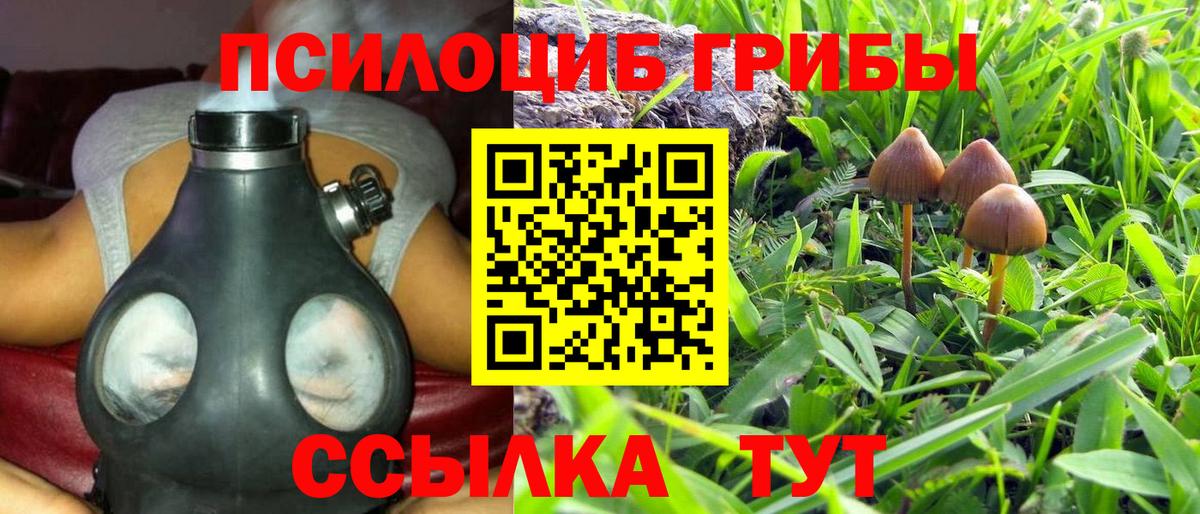 Нефтекамск  Псилоцибиновые грибы прущие грибы  Галлюциногенные грибы GOLDEN TEACHER  Вход с VPN 